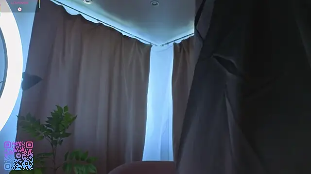  live show