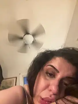  live show